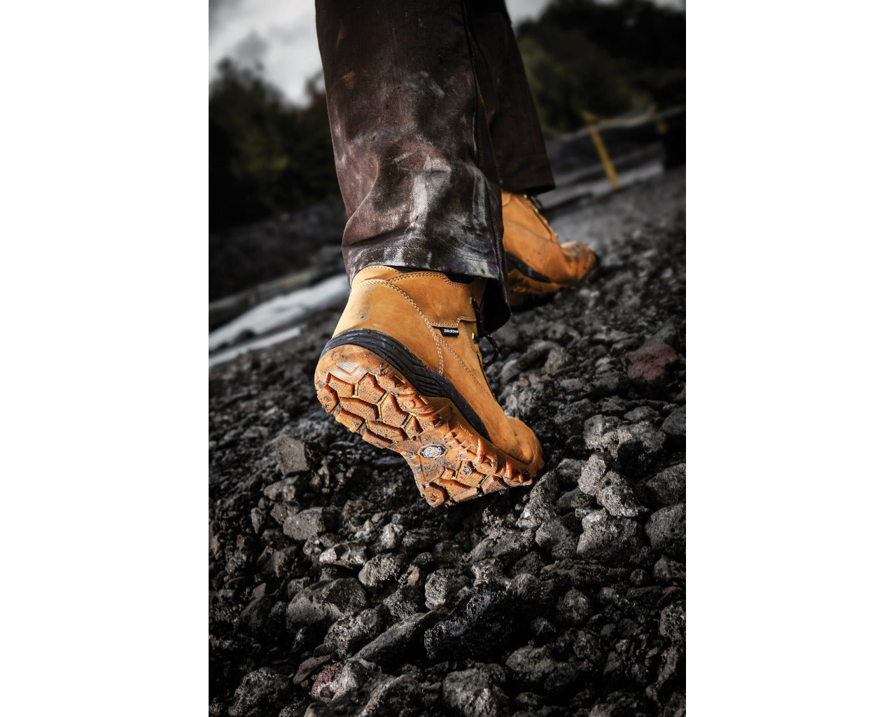 Dickies Graton Safety Work Boot FD9207 - Premium SAFETY BOOTS from Dickies - Just £49.50! Shop now at workboots-online.co.uk