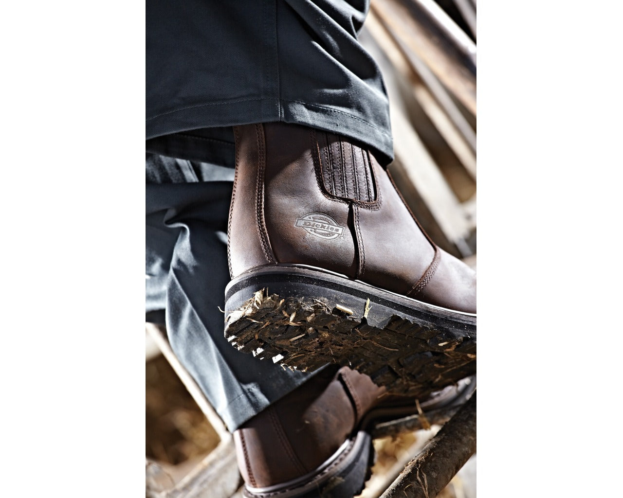 Dickies FN23700 Trinity Non-Safety Leather Dealer Boot - Premium NON-SAFETY from Dickies - Just £58.56! Shop now at workboots-online.co.uk